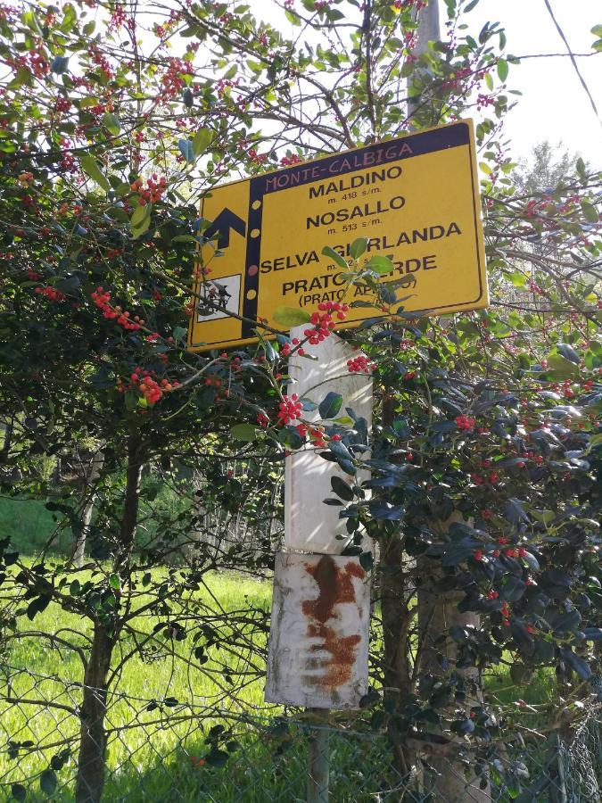 Agriturismo Nona Emma Piano Porlezza المظهر الخارجي الصورة